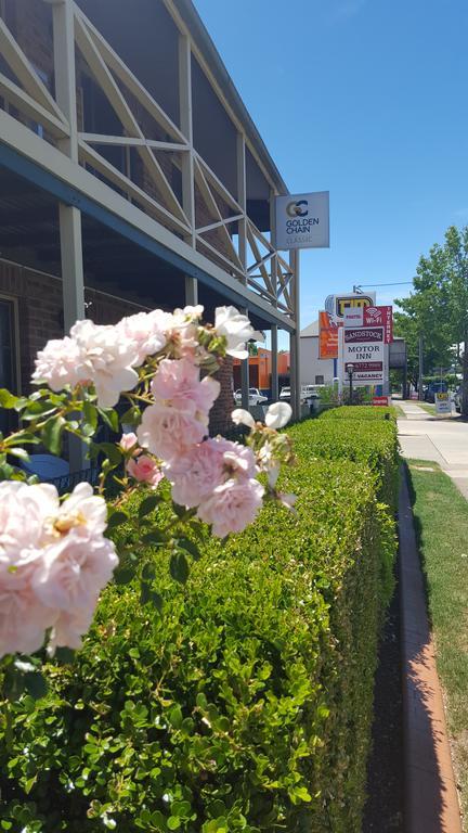 Sandstock Motor Inn Armidale Buitenkant foto